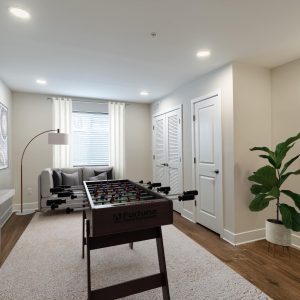 Lower Level Den.Rec Room